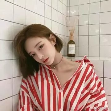 哈喽，酷狗
